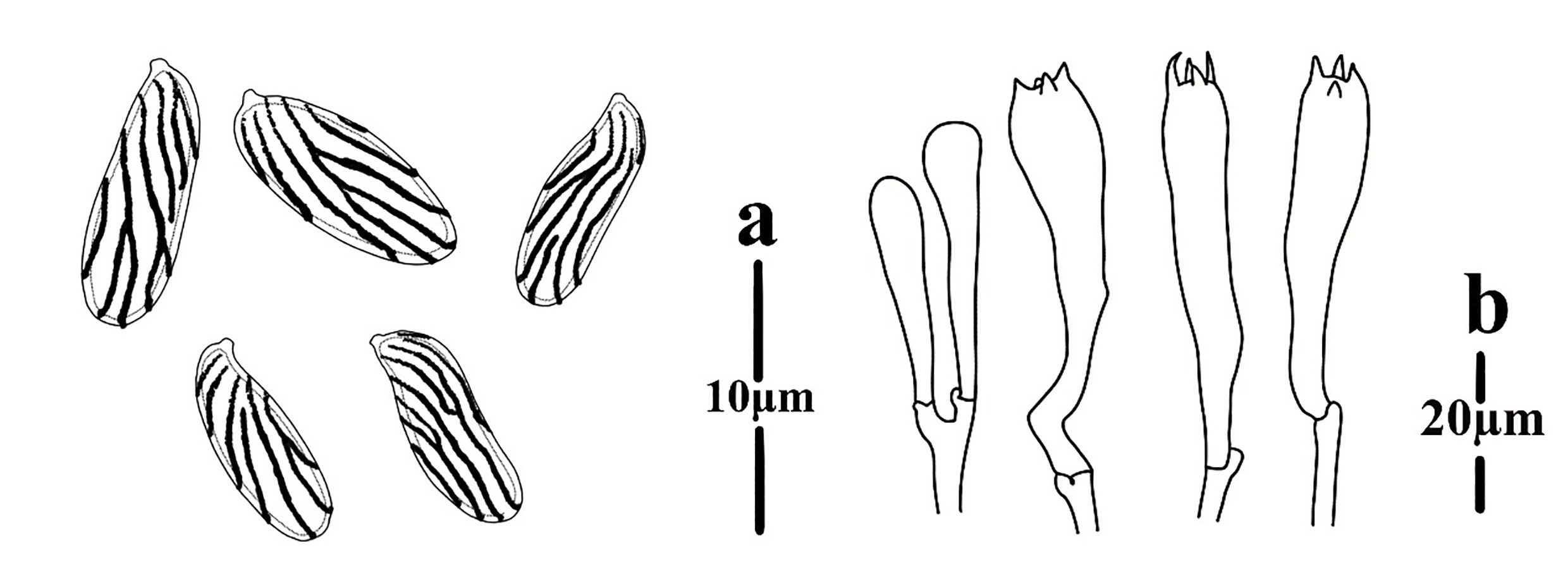 Figure 41
